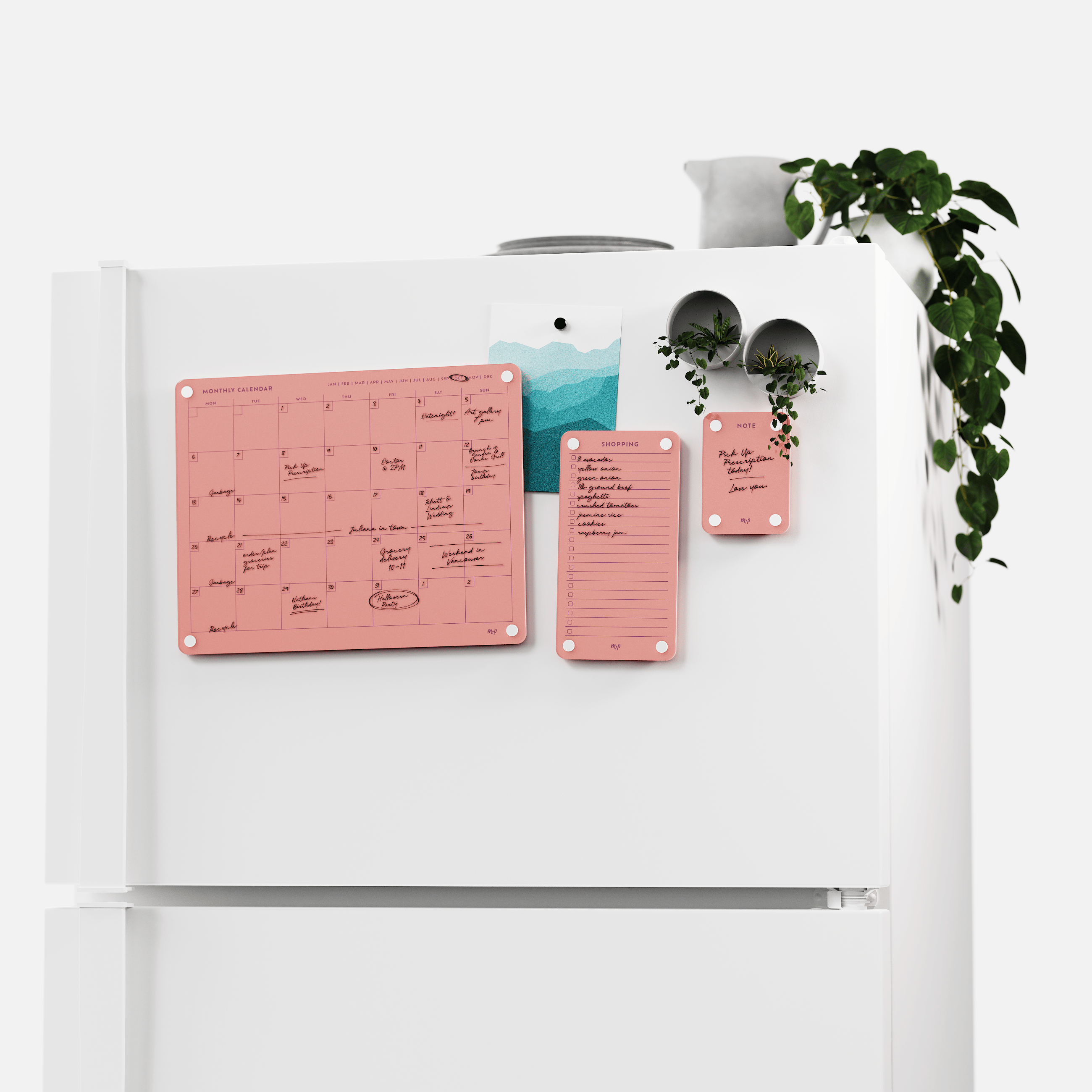 White fridge with the Coral monthly calendar, shopping list and note board set, plants on top